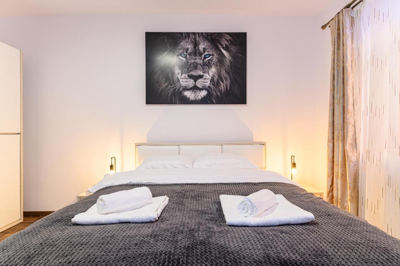 Apartment Casa Aurora 4 Brasov